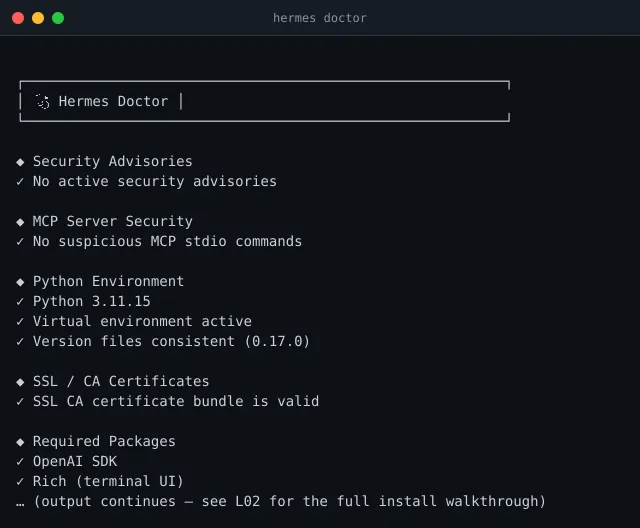 Output of hermes doctor showing green checks across security, Python, SSL, and dependencies